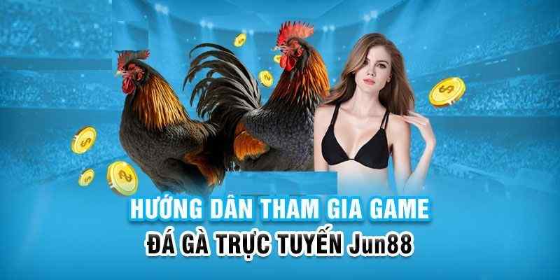 Hướng dẫn chi tiết A-Z cách chơi đá gà tại nhà cái Jun88