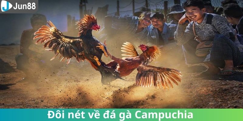 Tóm tắt chung về đá gà Campuchia