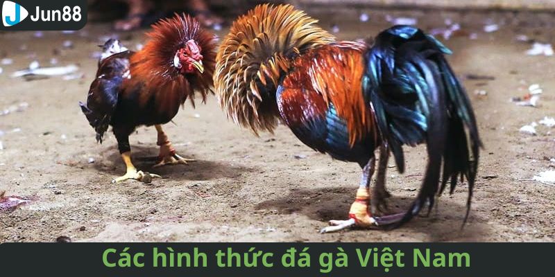 Những siêu phậm cực hot kê thủ không nên bỏ qua