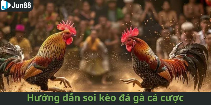 Tham gia cá cược đá gà tại Jun88 chỉ với vài bước cơ bản