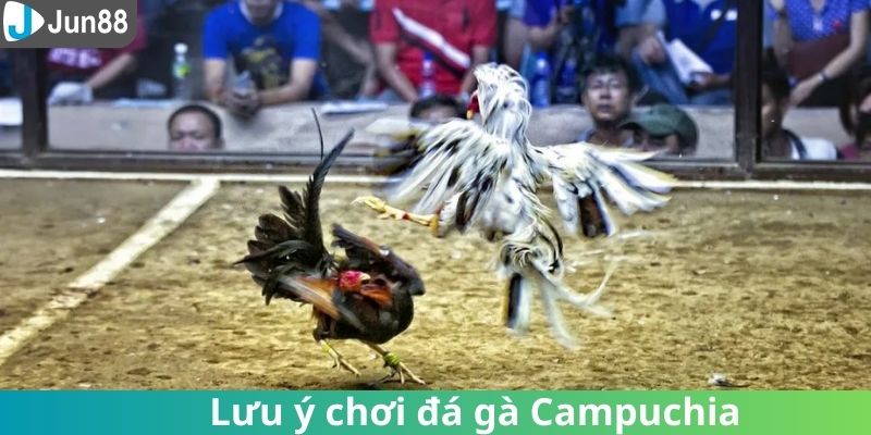 Lưu ý hội viên cần tham khảo trong quá trình tham gia