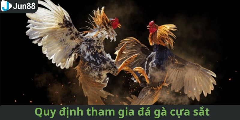 Luật chơi đá gà cựa sắt trên nhà cái Jun88