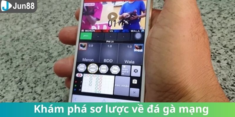 Khám phá sơ lược về đá gà mạng