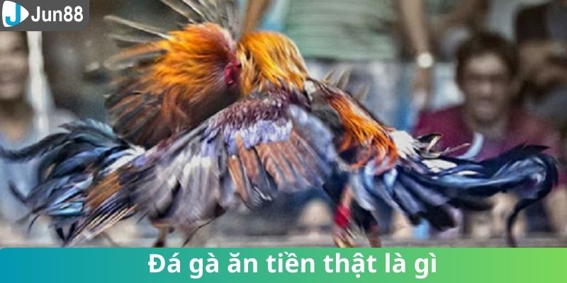 Khái quát đôi nét về trò chơi đá gà ăn tiền