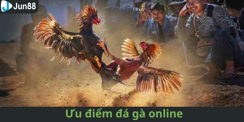 Các tính năng nổi bật của sảnh đá gà online Jun88